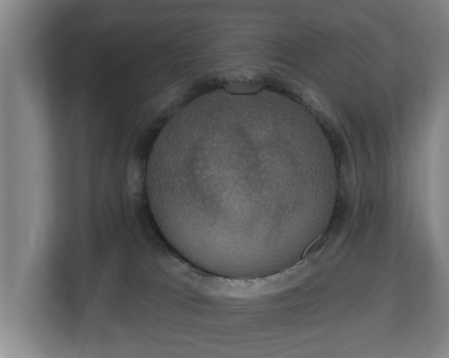 X0000113080037200909041138