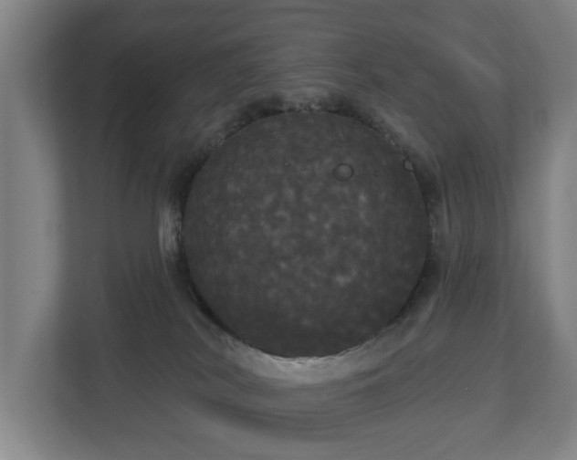 X0000113080038200909041138