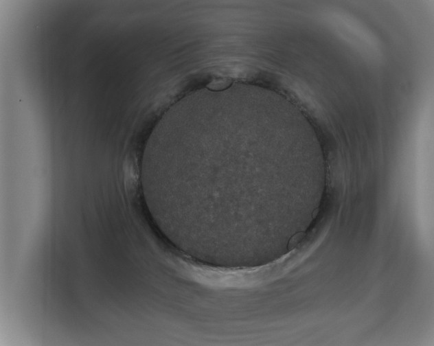 X0000113080040200909041138