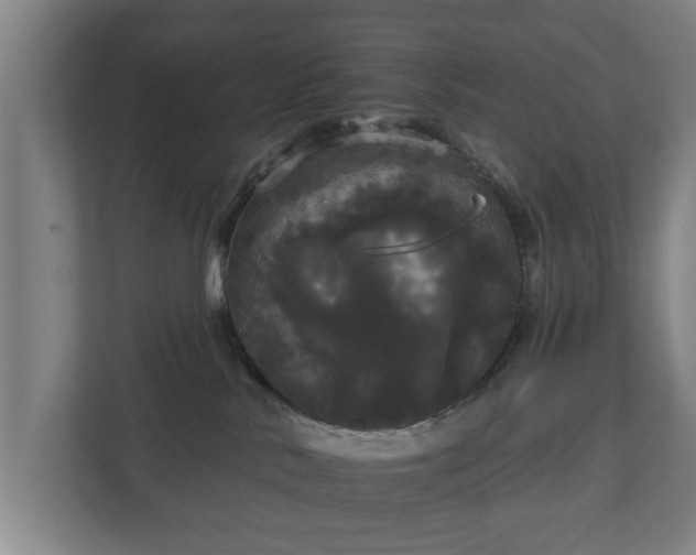 X0000113080042200909041137