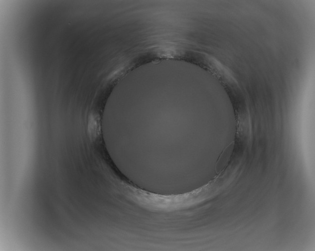 X0000113080043200909041137