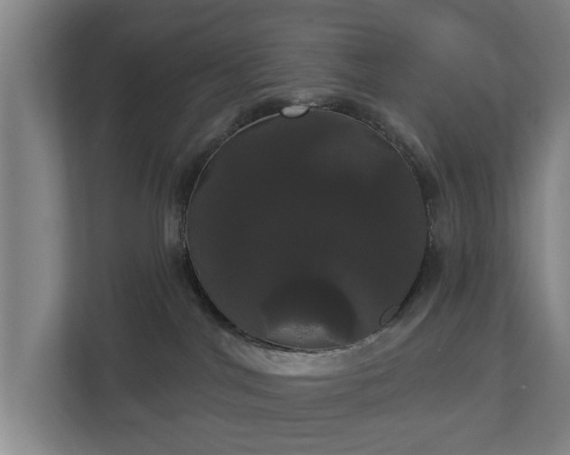 X0000113080044200909041137