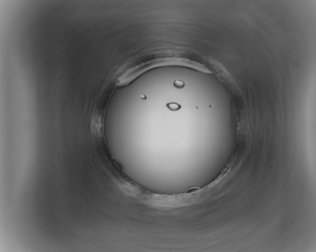 X0000113080045200909041137