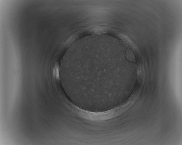 X0000113080046200909041137