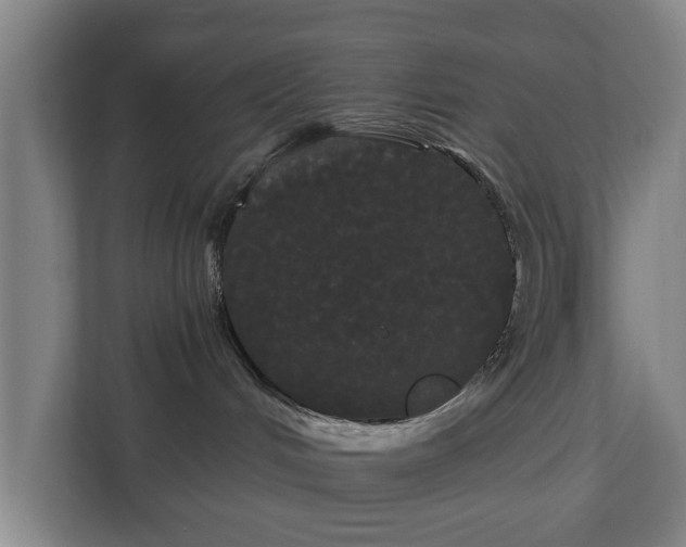 X0000113080048200909041137