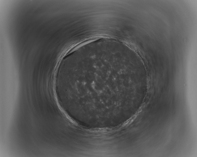 X0000113080049200909041137