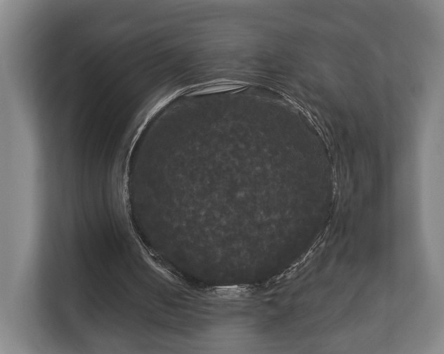 X0000113080050200909041137