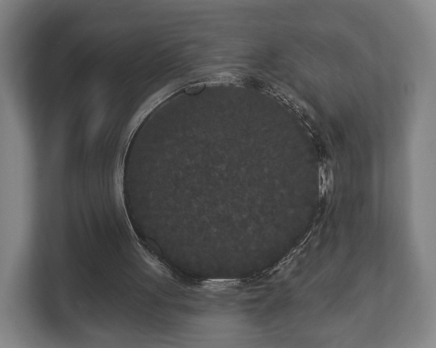 X0000113080051200909041137