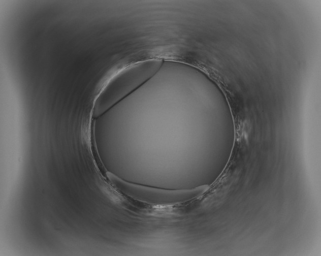 X0000113080052200909041137