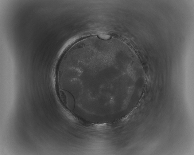 X0000113080054200909041137