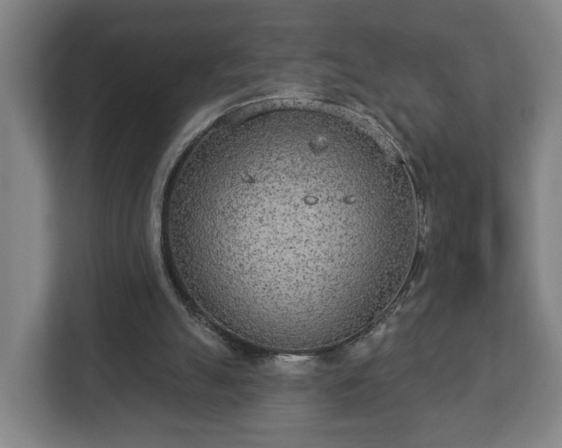 X0000113080055200909041137