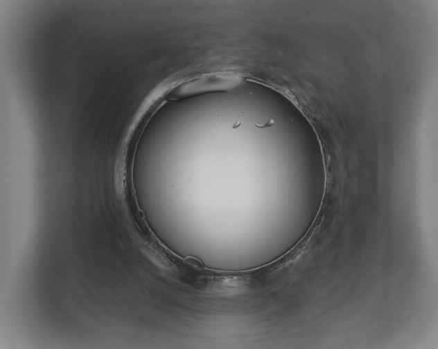 X0000113080056200909041137