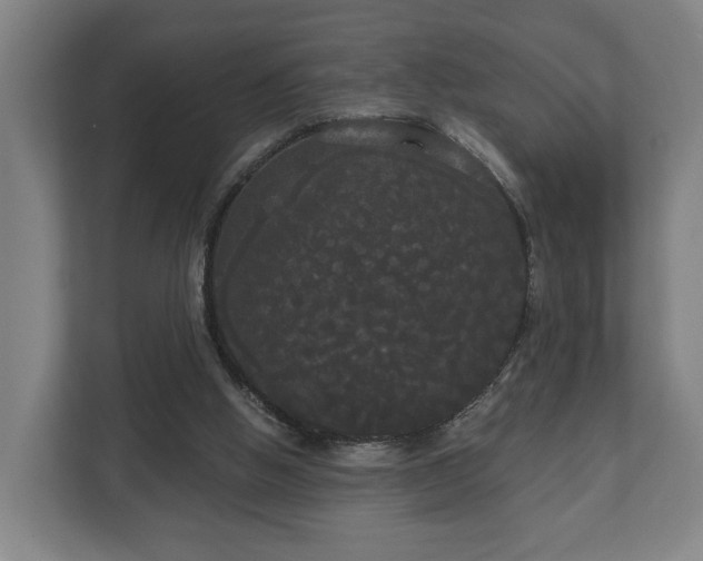 X0000113080058200909041137