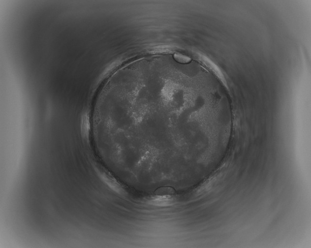 X0000113080059200909041137