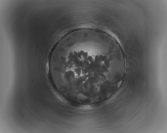 X0000113080061200909041137