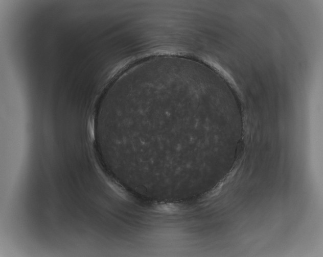 X0000113080062200909041137