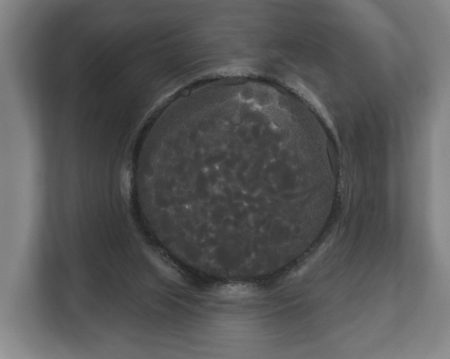 X0000113080063200909041137