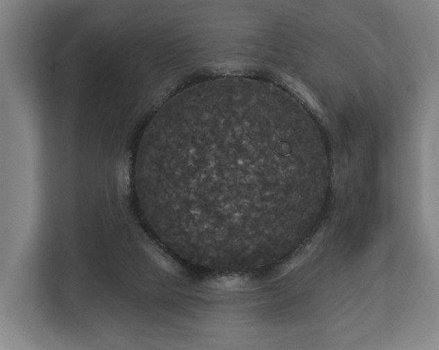 X0000113080065200909041137