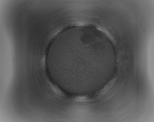 X0000113080066200909041137