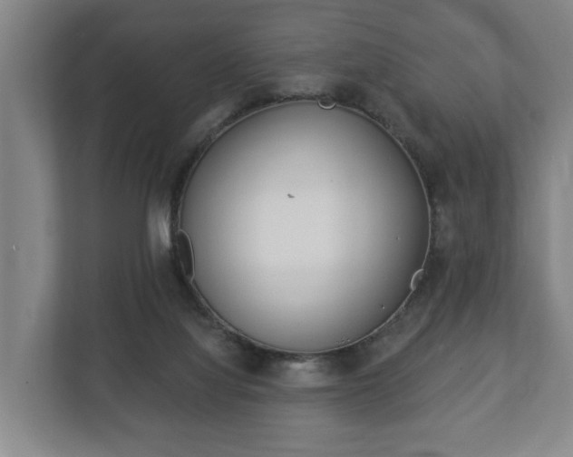 X0000113080068200909041137