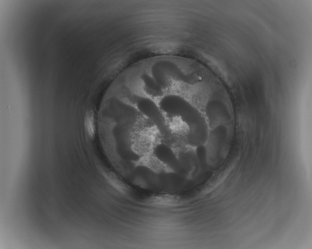 X0000113080069200909041137