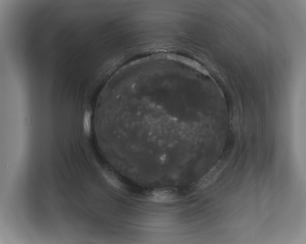 X0000113080070200909041137