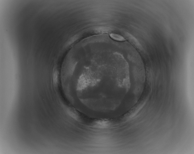 X0000113080071200909041137