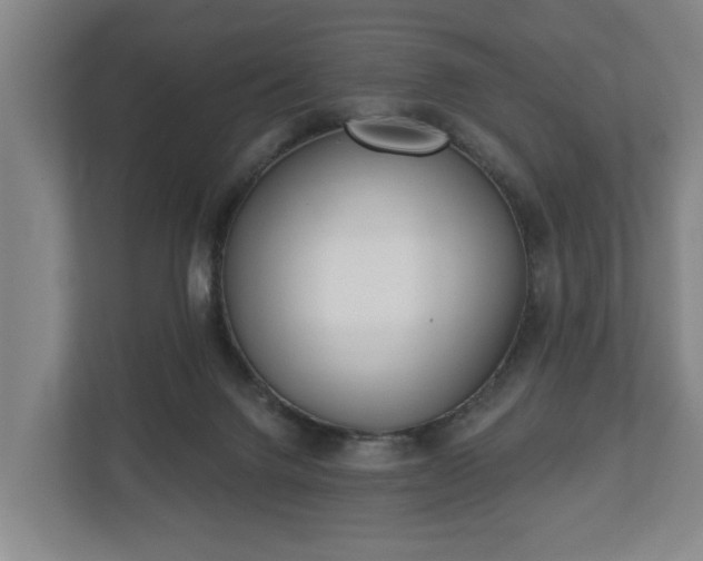 X0000113080072200909041137