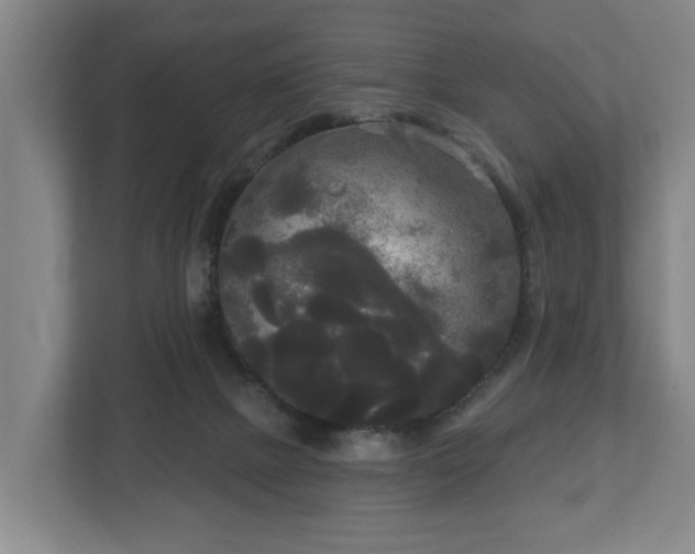 X0000113080073200909041137