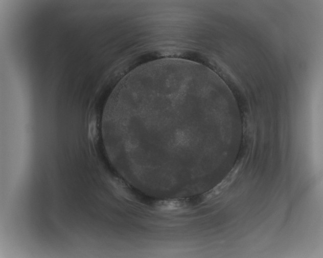 X0000113080074200909041137