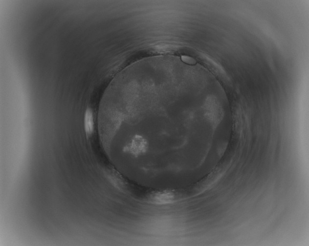 X0000113080075200909041137