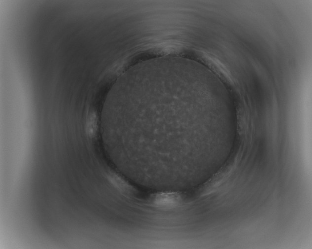 X0000113080077200909041137