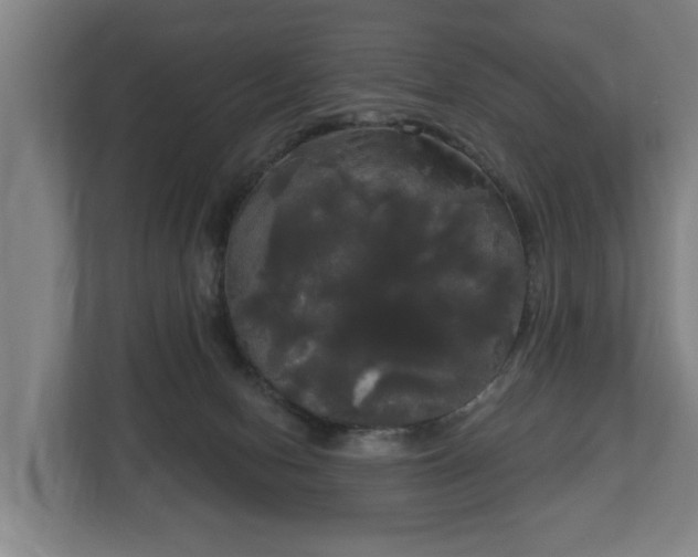 X0000113080078200909041137