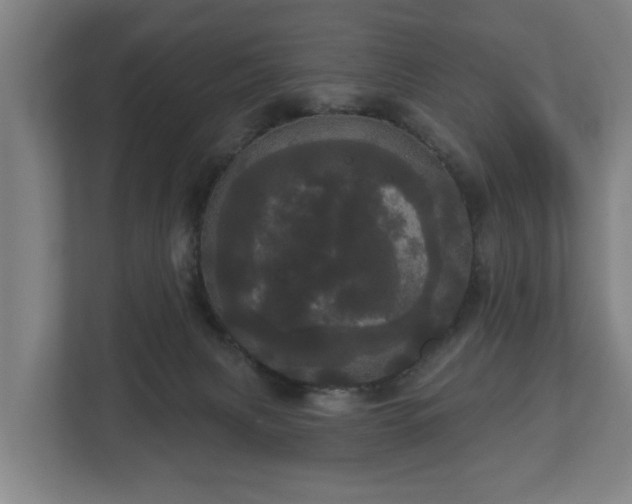 X0000113080079200909041137