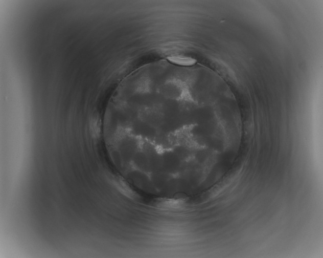 X0000113080081200909041137