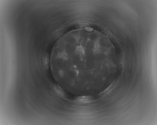 X0000113080082200909041137