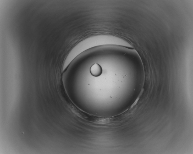 X0000113080084200909041137