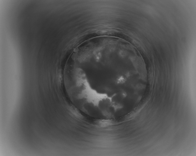 X0000113080085200909041137