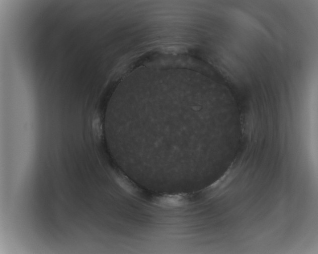 X0000113080086200909041137