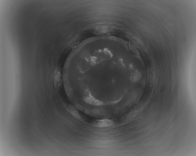 X0000113080087200909041137