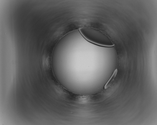 X0000113080088200909041137