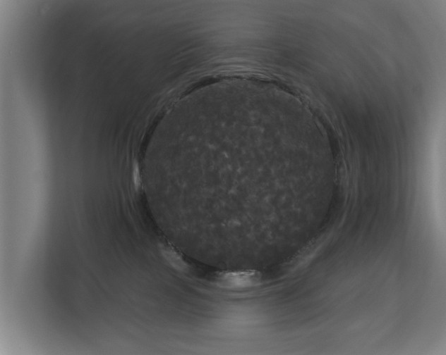 X0000113080089200909041137