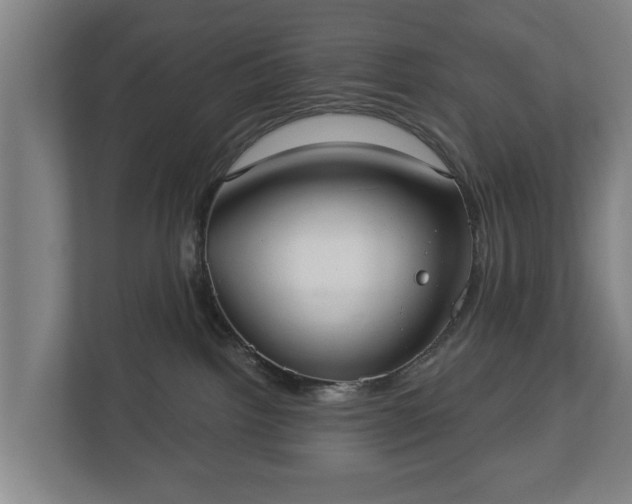 X0000113080092200909041137