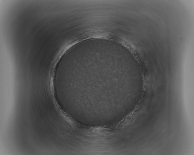 X0000113080098200909041137