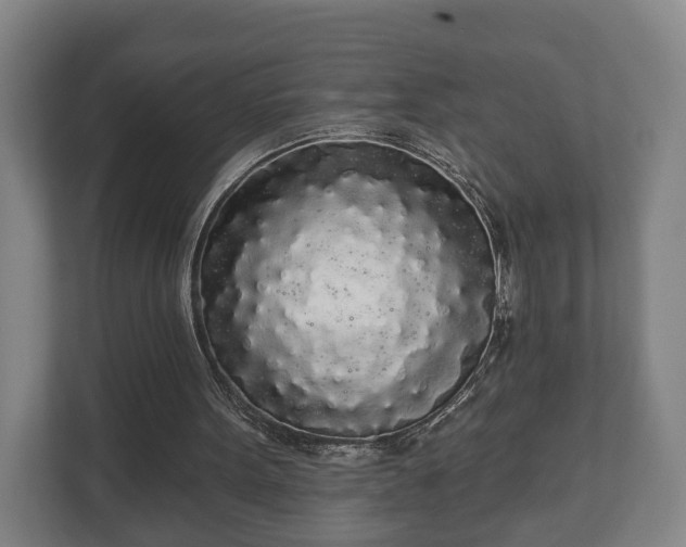 X0000113080099200909041137