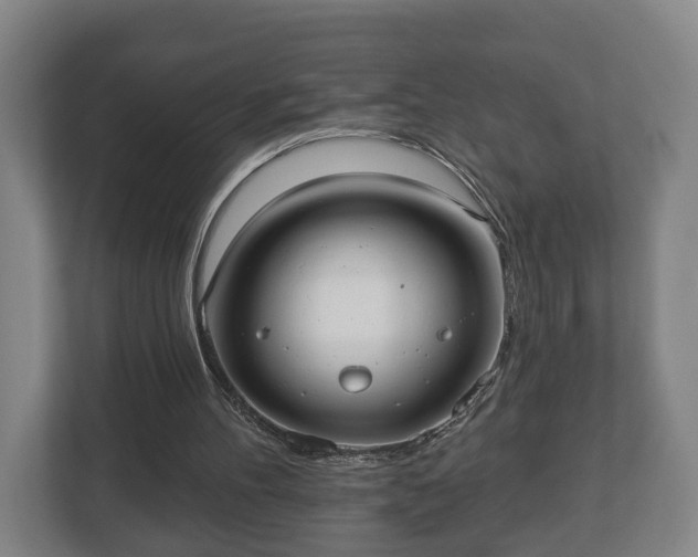 X0000113080100200909041137