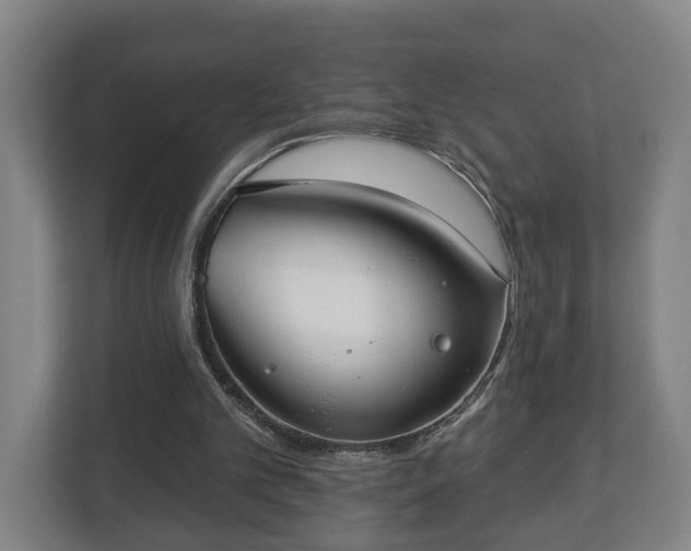 X0000113080101200909041137