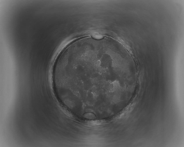 X0000113080103200909041137