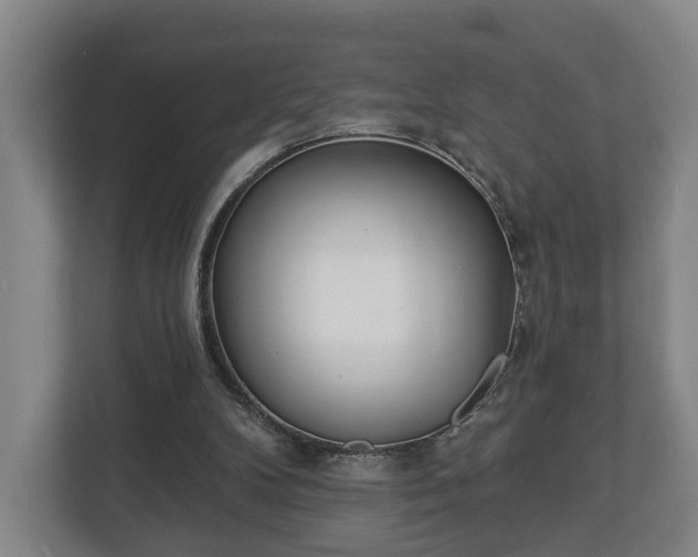 X0000113080104200909041137