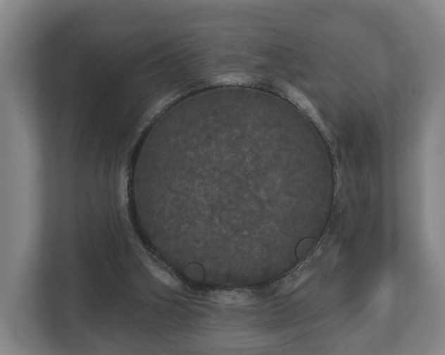 X0000113080106200909041137